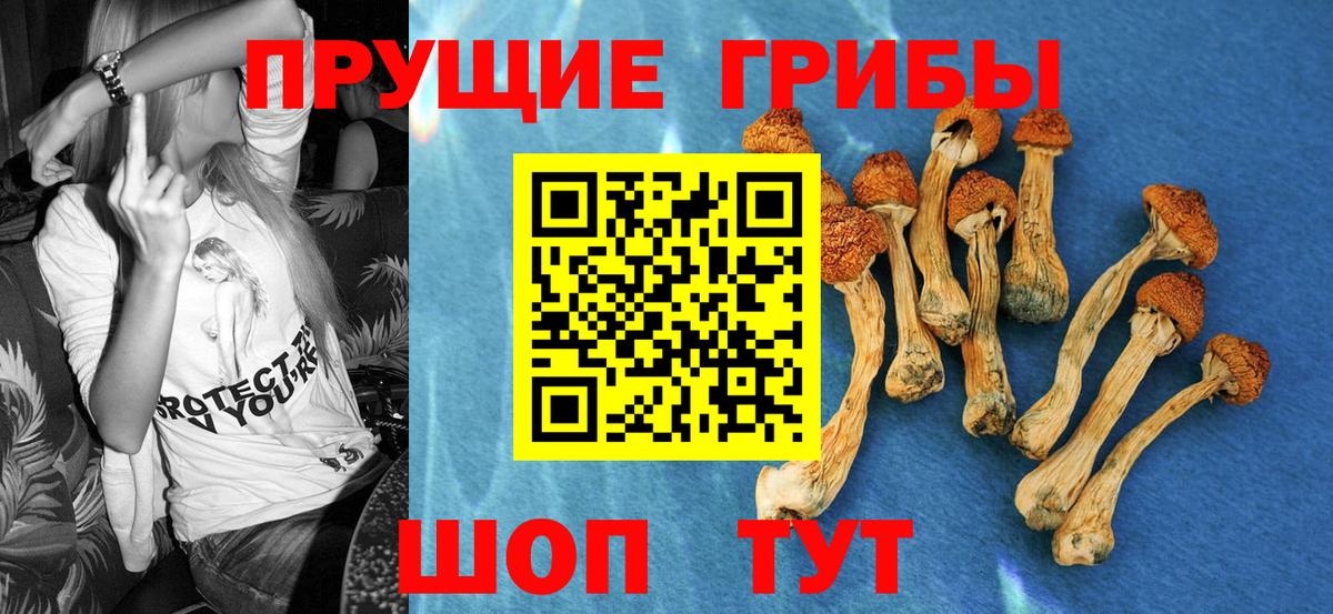 Йошкар-Ола  Псилоцибиновые грибы мухоморы  Вход с VPN 